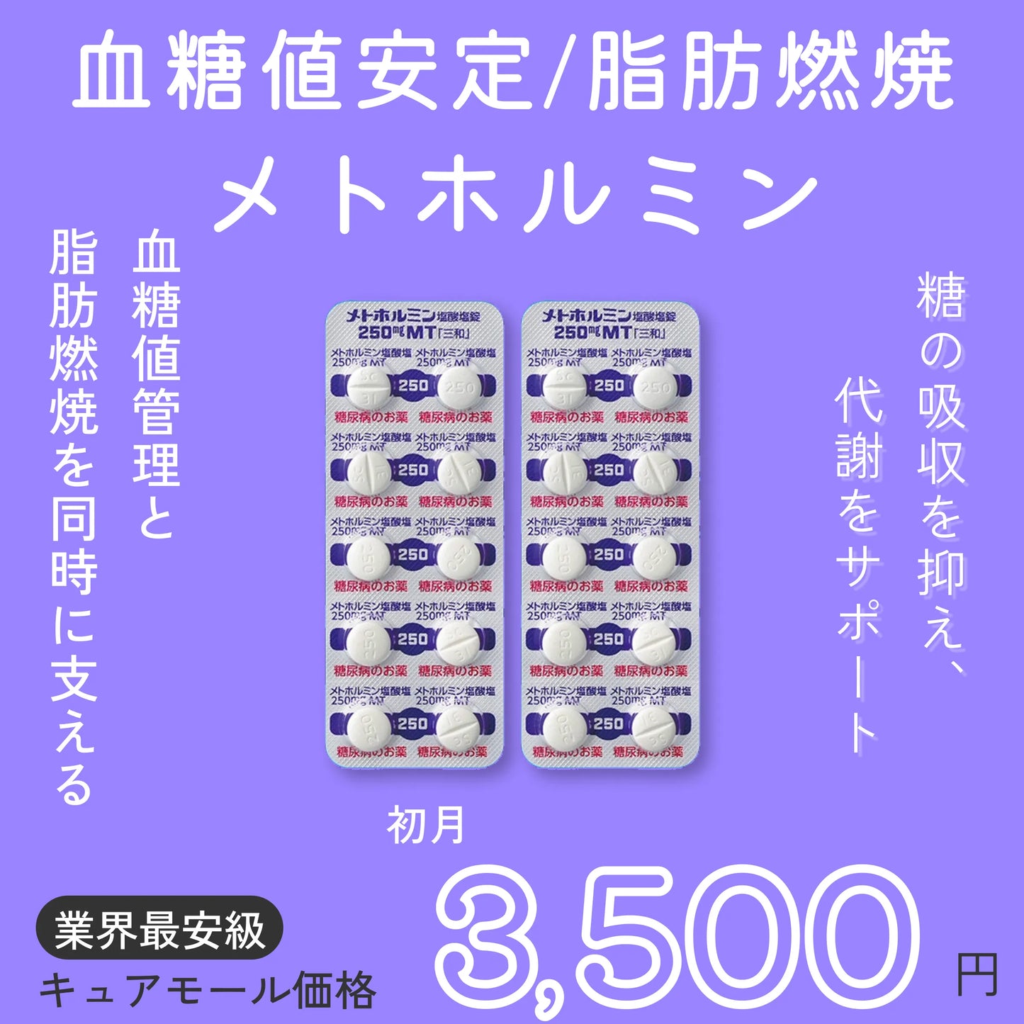 美容・健康維持のための代謝サポート-メトホミン