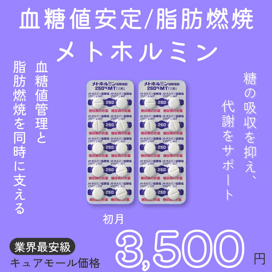 美容・健康維持のための代謝サポート-メトホミン